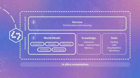 微软研究院发布 Quine：面向生物学复杂性的 AI 研究系统