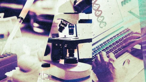 Anthropic 称 Claude 智能体发现新基因模式，生物学家质疑